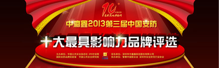 2013年中国安防十大品牌评选活动
